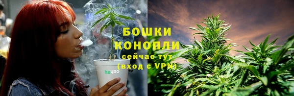 твердый Михайловск