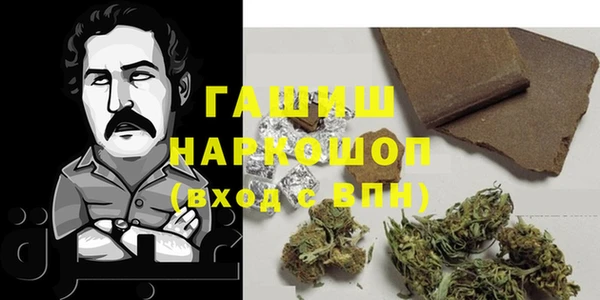 сатива Ессентукская